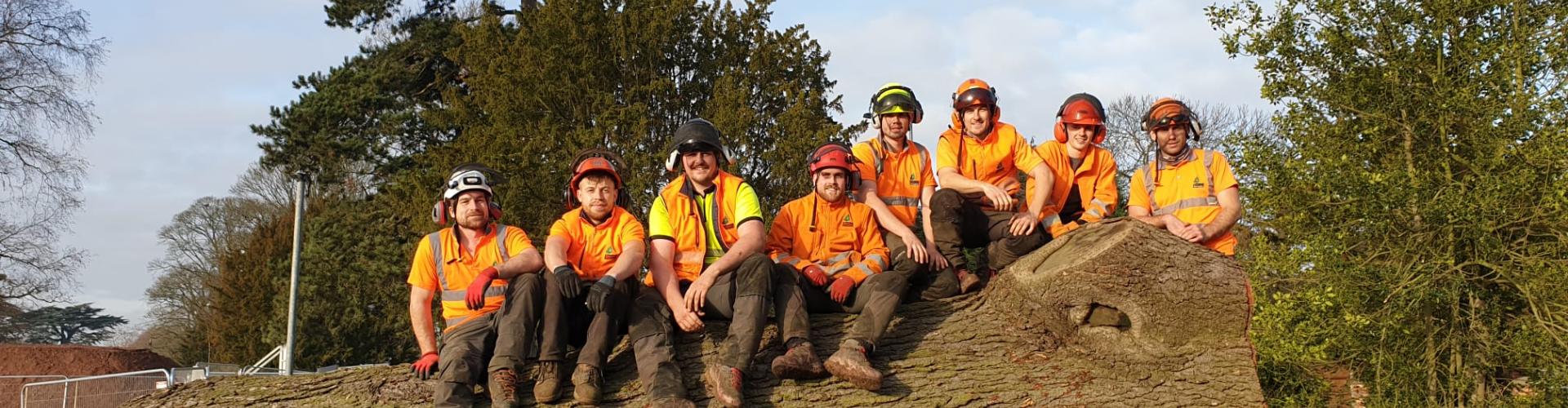 Reeves Tree Surgeons team - 20 fully qualified NPTC and Lantra certified arborists with 20+ years experience across Birmingham, Solihull, Worcester, and West Midlands