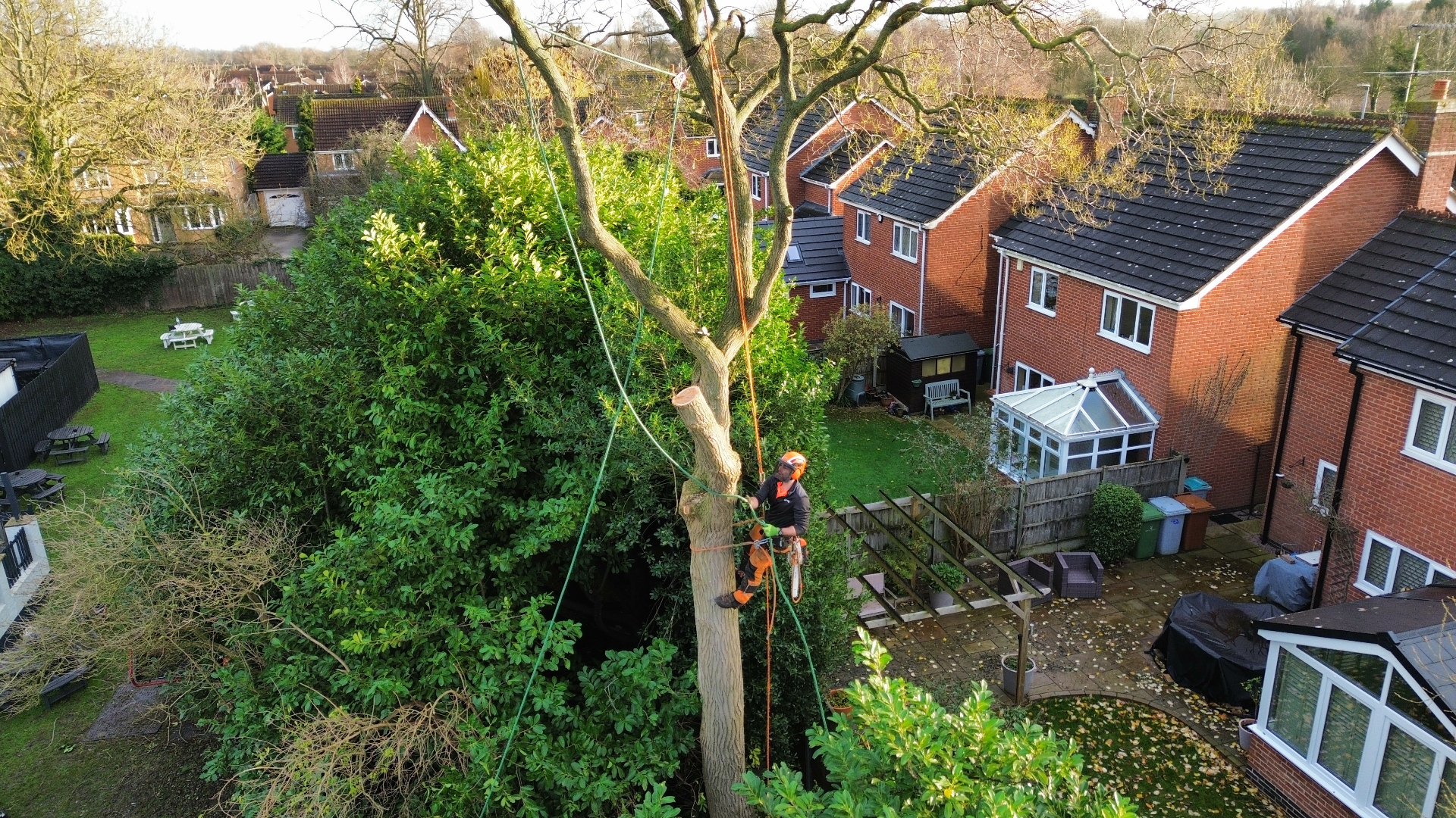Tree surgeon performing aerial tree work in residential garden with professional safety equipment